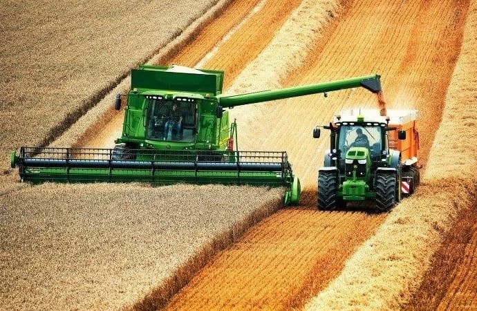 Комбайн вивантажує зерно у вантажівку під час жнив